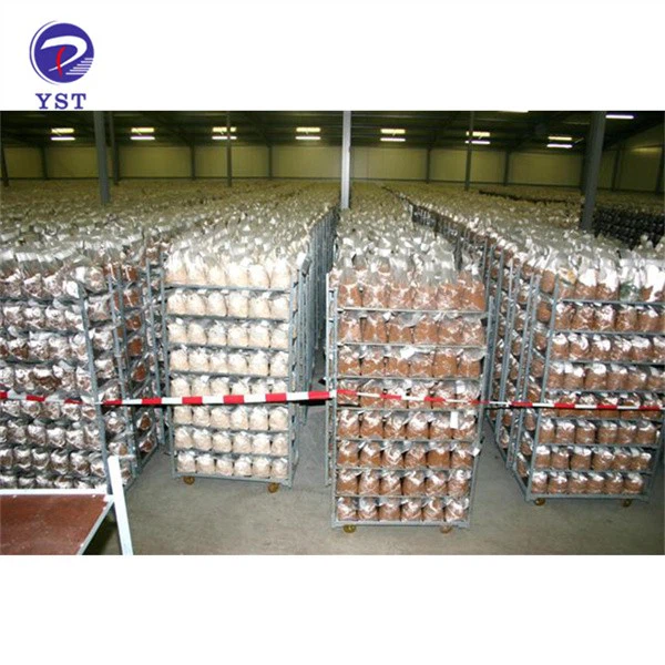 Mushroom Growing Rack