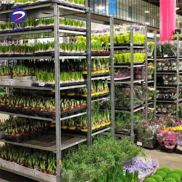 Nursery Shipping Racks