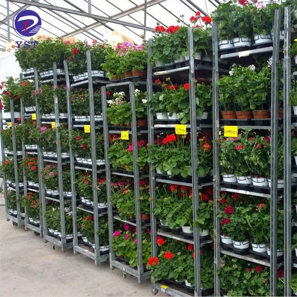 Plant Nursery Shelves Trolleys