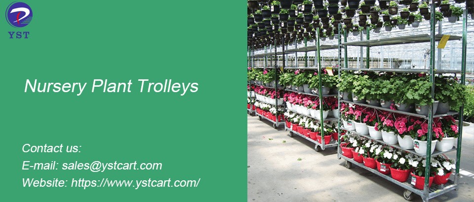 Nursery Plant Trolleys-6 Nursery Plant Trolleys-6