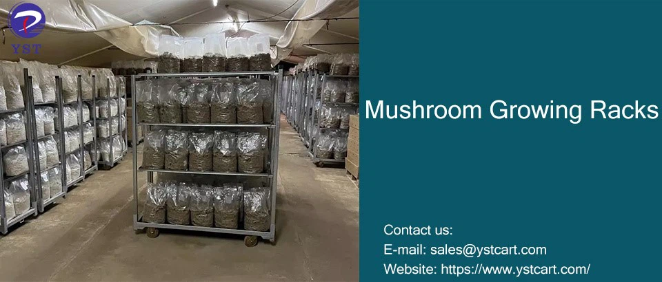 Mushroom Growing Racks-3 Mushroom Growing Racks-3